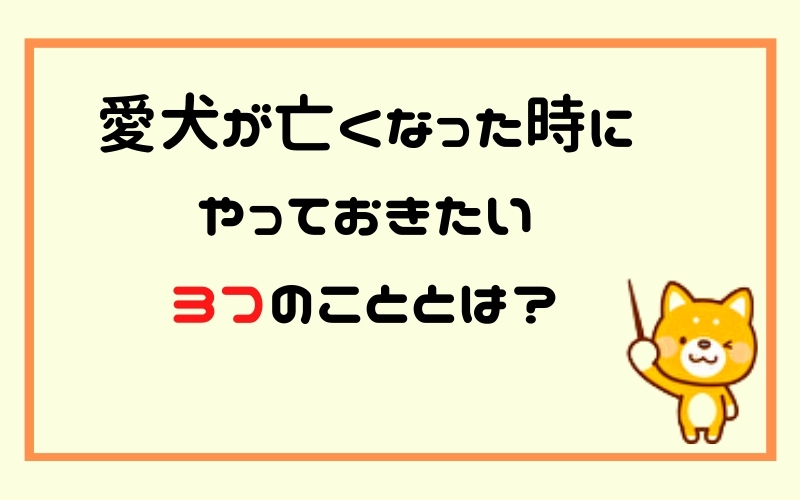 愛犬が亡くなった時にやっておきたい3つのこととは?