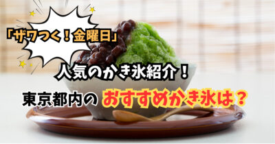 「ザワつく!」で人気のかき氷紹介!東京都内おすすめのかき氷店は?