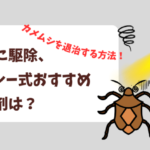 カメムシを退治する方法!手軽に駆除、スプレー式おすすめ殺虫剤は?