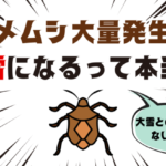 カメムシ大量発生は大雪になるって本当？大雪との関係性はないらしい