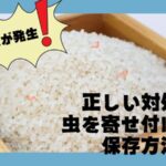 お米に虫が発生!正しい対処法&虫を寄せ付けない保存方法とは