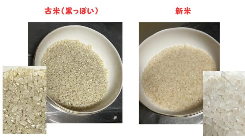 お米が変色比較