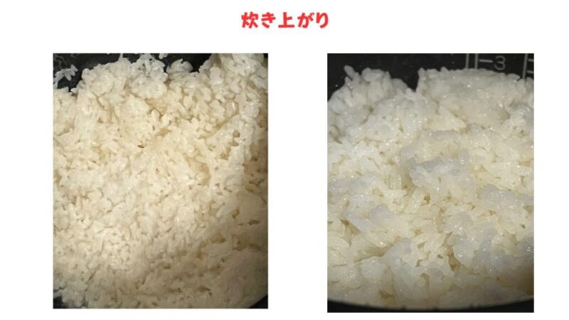 炊き上がり比較