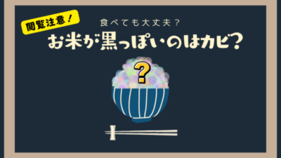 【閲覧注意！】お米が黒っぽい！それってカビ？食べても大丈夫？