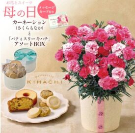 カーネーション（さくらもなか）＋キハチ アソートBOX