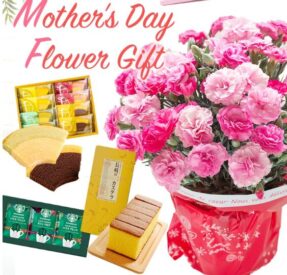 銀座千疋屋 フルーツカステラセット