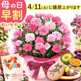 おいもや カーネーション＆スイーツセット